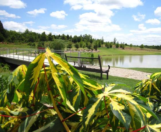 tulsa botanic garden