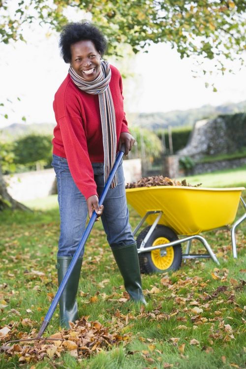 woman racking leaves