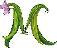 M green letter with pink flowers
