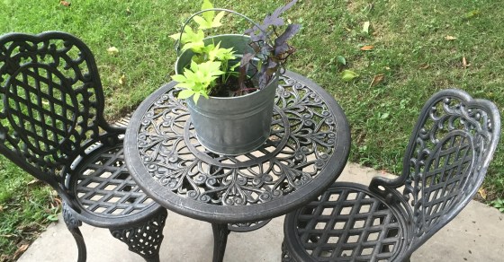 bucket with two plants longshot with table and two chairs